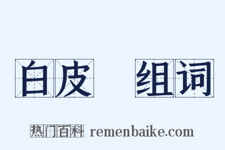 白皮書组词是什么意思的图片